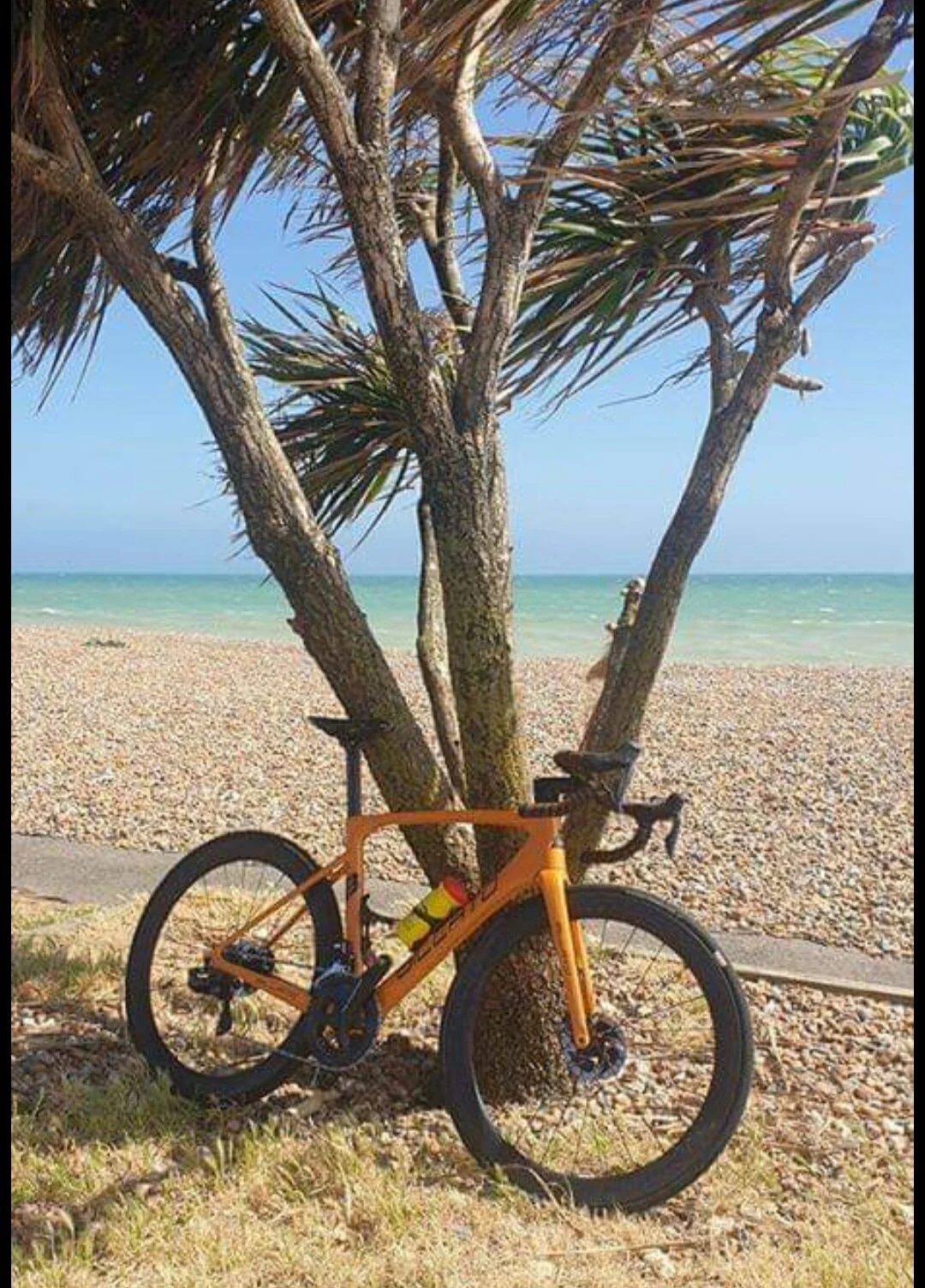 Billato BIKES